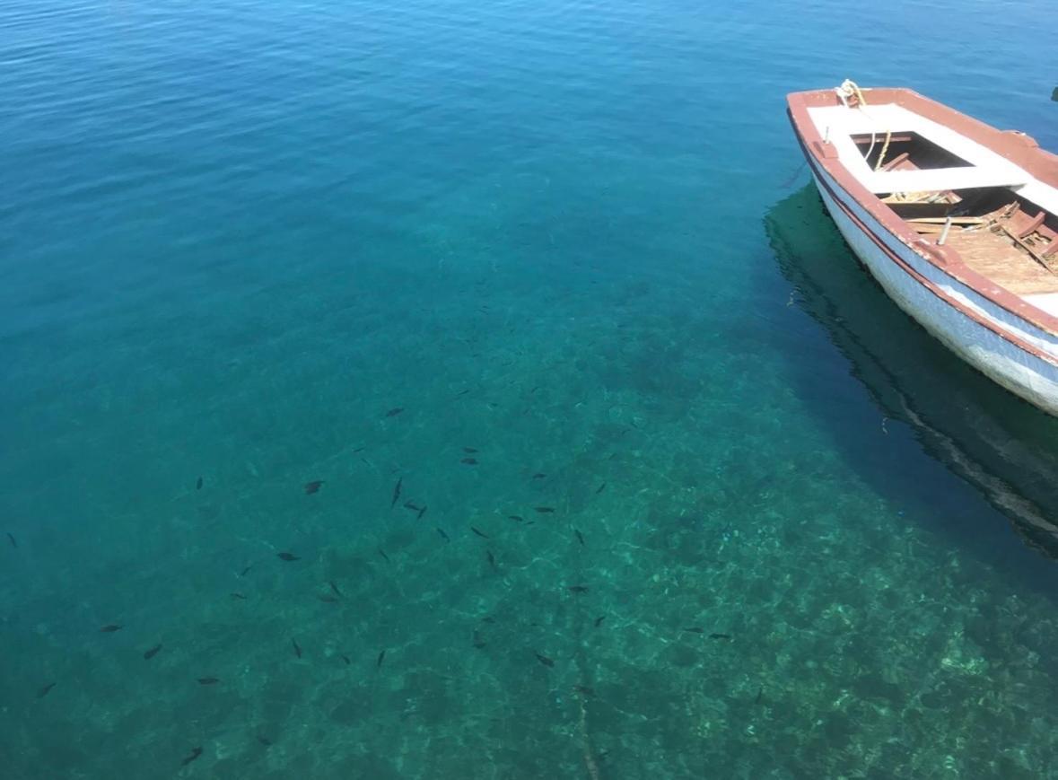 Apartments Lili Senj  Εξωτερικό φωτογραφία